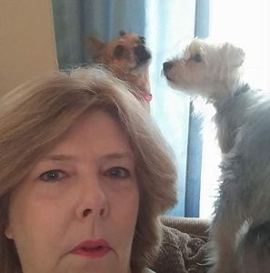 Meet your Posher, Debbie